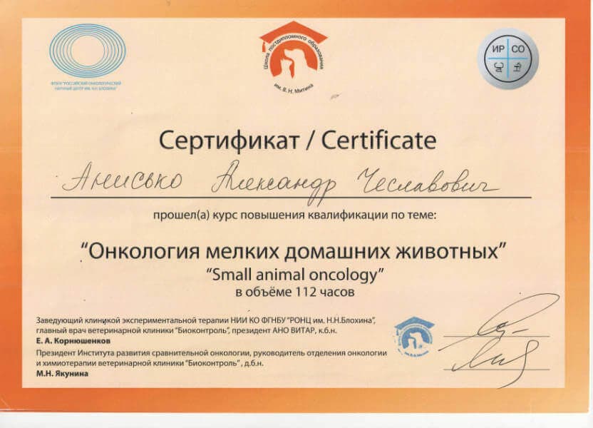 Сертификат специалиста ветеринарного врача. Сертификат специалиста.ветврача.